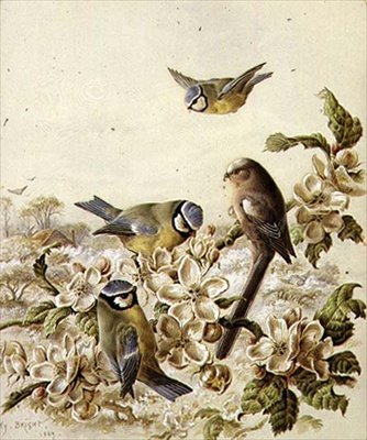 Ladri nel frutteto da Henry Bright