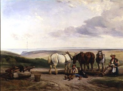 Il lato sud della valle di Ecclesborne, vicino a Hastings, East Sussex da Henry Brittan Willis