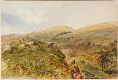 Cockmount Hill da Henry Burdon Richardson
