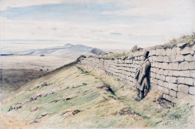 Cockmount Hill da Henry Burdon Richardson