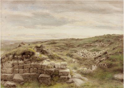 Housesteads da Henry Burdon Richardson
