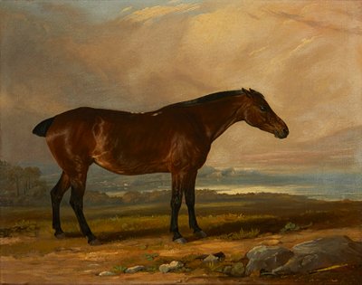 Studio di un cavallo baio in un paesaggio da Henry Calvert