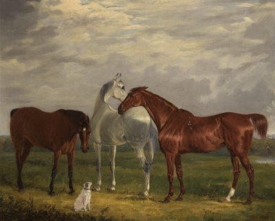 Tre cavalli del 2° Lord de Tabley e il suo cane, Vic da Henry Calvert