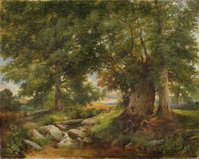 Un torrente di trote vicino a Worcester da Henry Chaplin