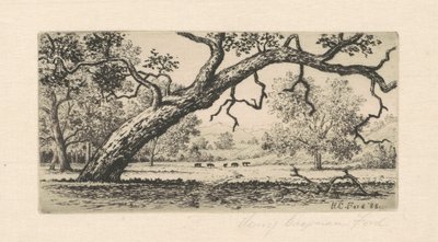Paesaggio della California da Henry Chapman Ford