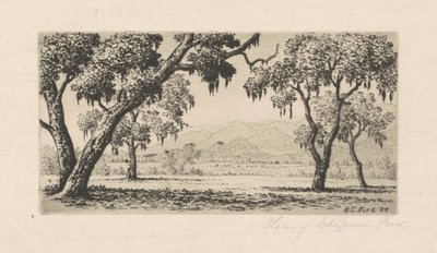 Paesaggio della California da Henry Chapman Ford