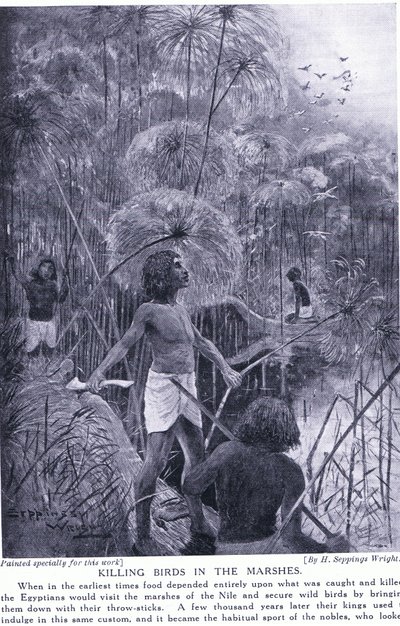 Caccia agli uccelli nelle paludi, c.1920 da Henry Charles Seppings Wright