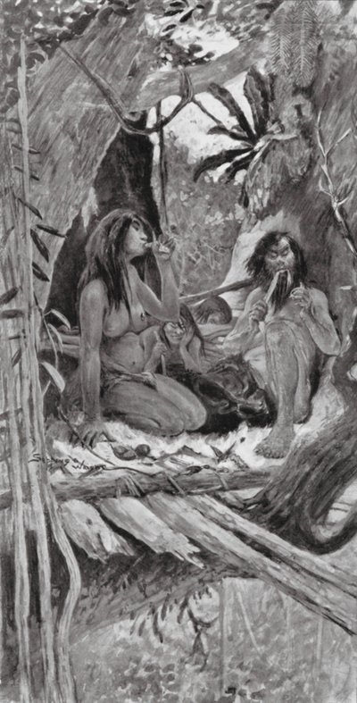 Abitanti degli alberi preistorici cinesi (litografia) da Henry Charles Seppings Wright