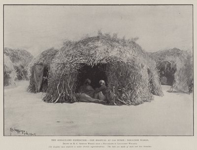 La spedizione in Somaliland, l
