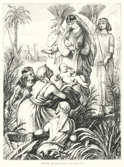 Il ritrovamento di Mosè da Henry Courtney (after) Selous