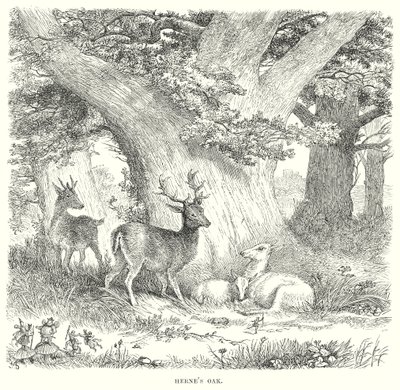  da Henry Courtney (after) Selous