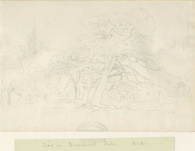 Parco di Beaudesert da Henry Curzon Allport