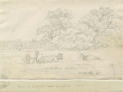 Lichfield - Vista da Aldershaw da Henry Curzon Allport