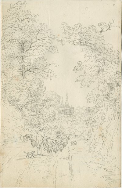 Cattedrale di Lichfield - Vista Sud Est da Henry Curzon Allport