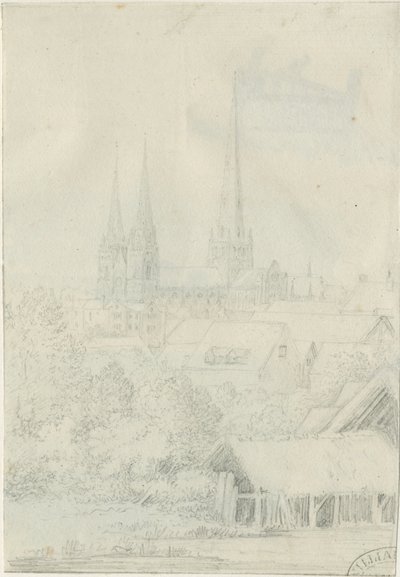 Cattedrale di Lichfield - Vista sud-ovest da Henry Curzon Allport