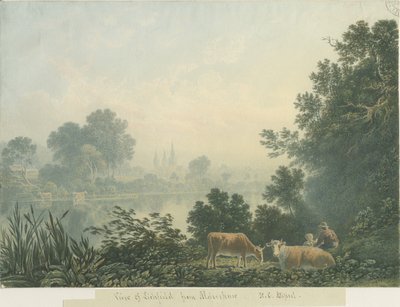 Cattedrale di Lichfield - Vista da Aldershaw da Henry Curzon Allport