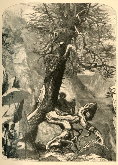 Sopra il ponte naturale da Henry Duff Linton