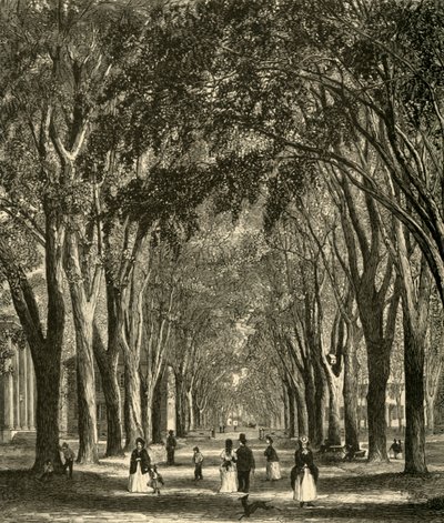 Gli olmi di New-Haven, 1874 da Henry Duff Linton