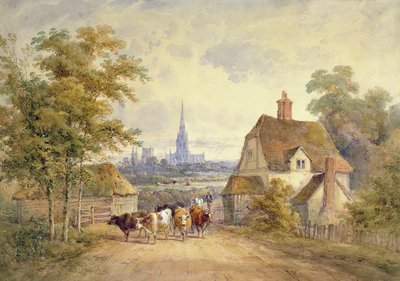 Cattedrale di Chichester, Sussex da Henry Earp