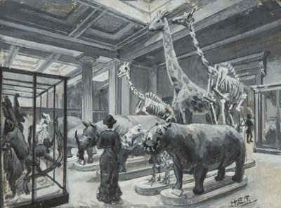 Vista interna del Museo Britannico che mostra la galleria contenente esposizioni di animali, c.1880 da Henry Edward Tidmarsh