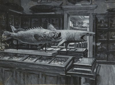 Vista interna del Museo Britannico che mostra la galleria delle esposizioni di pesci, c.1880 da Henry Edward Tidmarsh