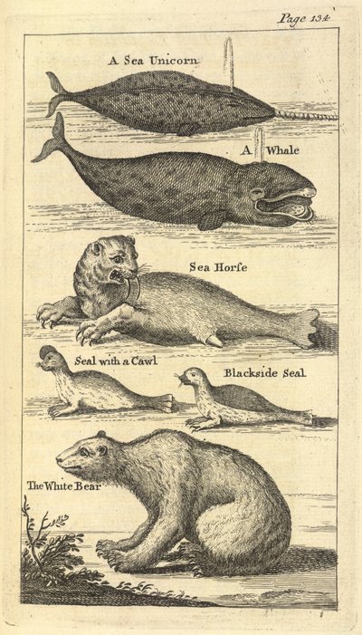 Diverse creature, da 