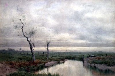 Paludi costiere da Henry Farrer