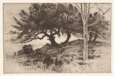 Vicino al mare da Henry Farrer