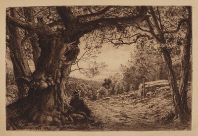 Sulla Collina da Henry Farrer