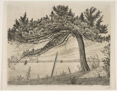 Pelham Bay da Henry Farrer