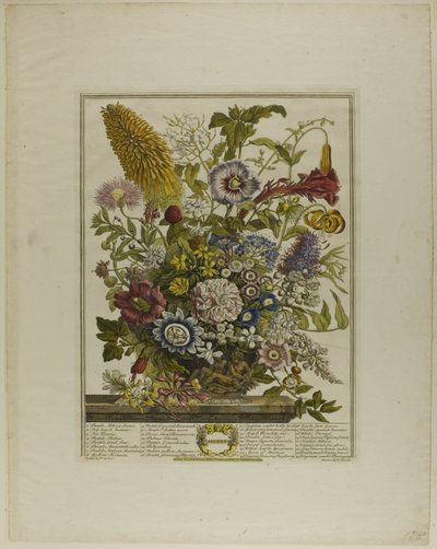 Agosto, da Dodici mesi di fiori da Henry Fletcher