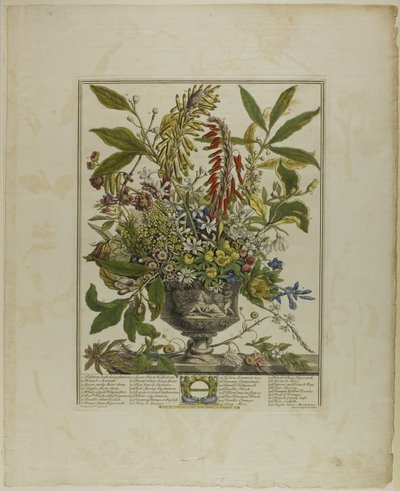 Gennaio, da Dodici mesi di fiori da Henry Fletcher