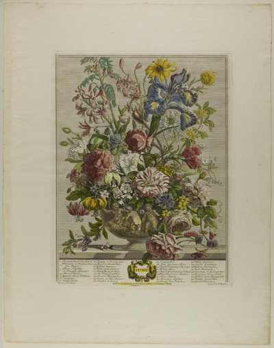 Giugno, dai Dodici Mesi di Fiori da Henry Fletcher