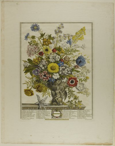 Novembre, dai Dodici Mesi di Fiori da Henry Fletcher