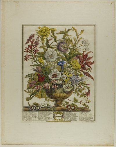 Settembre, da Dodici mesi di fiori da Henry Fletcher
