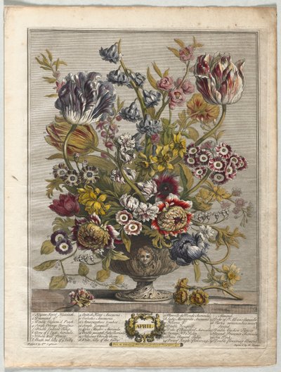 Dodici mesi di fiori: Aprile, 1730 da Henry Fletcher