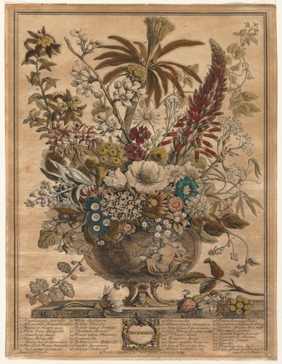 Dodici mesi di fiori: Dicembre da Henry Fletcher
