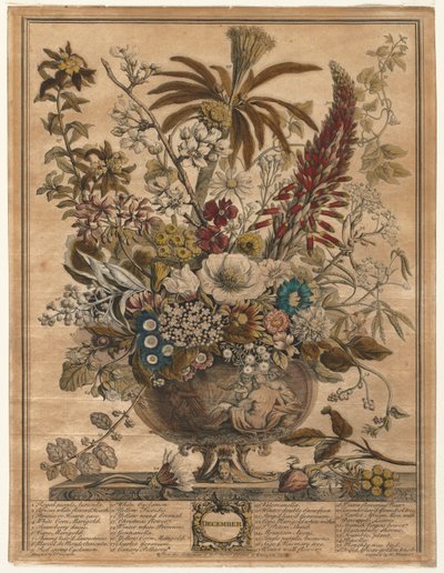 Dodici Mesi di Fiori: Dicembre da Henry Fletcher