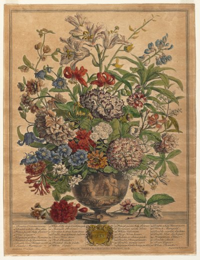 Dodici mesi di fiori: luglio, 1730 da Henry Fletcher