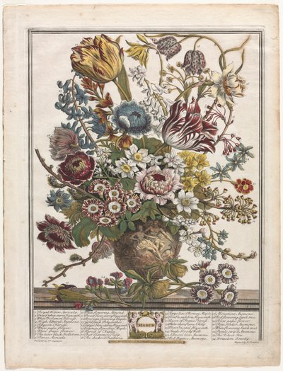 Dodici mesi di fiori: marzo da Henry Fletcher