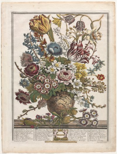Dodici Mesi di Fiori: Marzo da Henry Fletcher