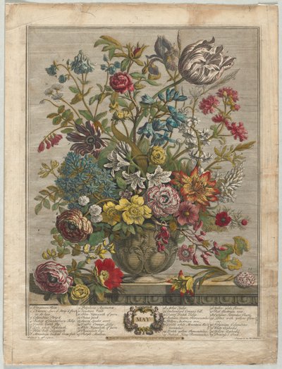Dodici Mesi di Fiori: Maggio, 1730 da Henry Fletcher