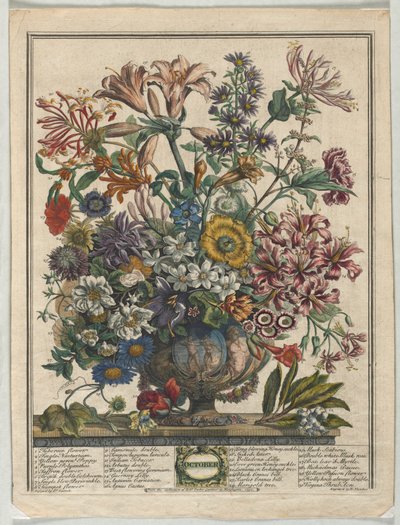 Dodici mesi di fiori:  Ottobre da Henry Fletcher