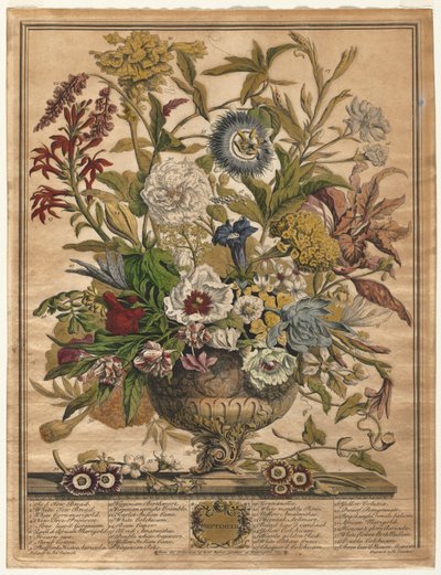 Dodici mesi di fiori: Settembre da Henry Fletcher