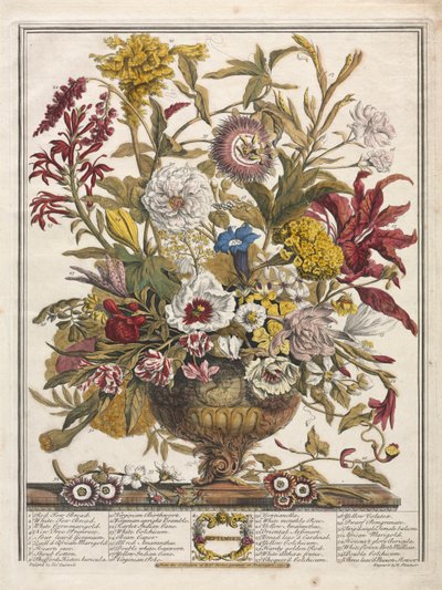 Dodici mesi di fiori: settembre da Henry Fletcher