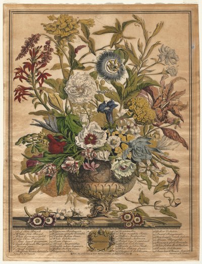 Dodici Mesi di Fiori: Settembre, 1730 da Henry Fletcher