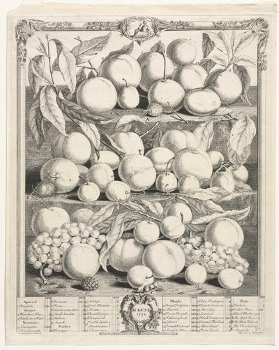 Dodici mesi di frutta: Agosto, 1732 da Henry Fletcher