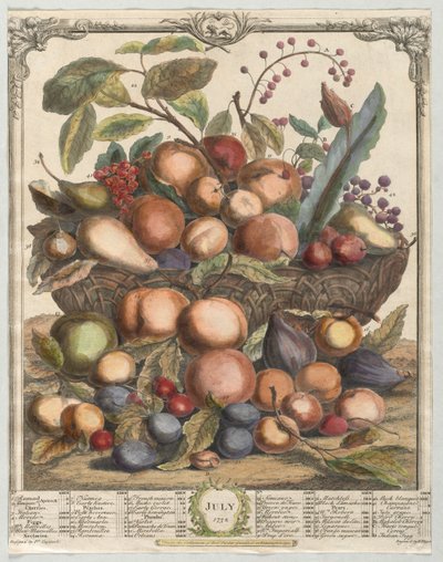 Dodici mesi di frutta: Luglio da Henry Fletcher