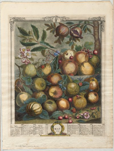 Dodici mesi di frutta:  Maggio da Henry Fletcher