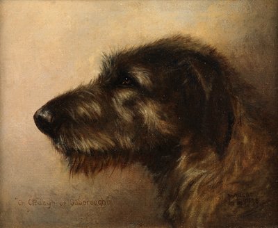 Campione Clodagh di Ouborough, un levriero irlandese da Henry Frederick Lucas Lucas